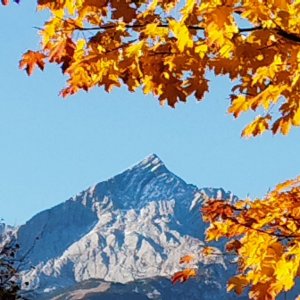 Projektaufruf Unterstützung Bürgerengagement