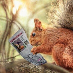Unser Sommer-Newsletter ist online!