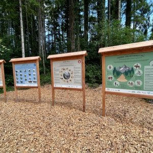 Wald.Wild.Wissen - Lernwerkstatt "Natur und Jagd"